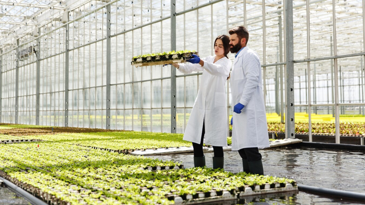 Aquaponics Digree