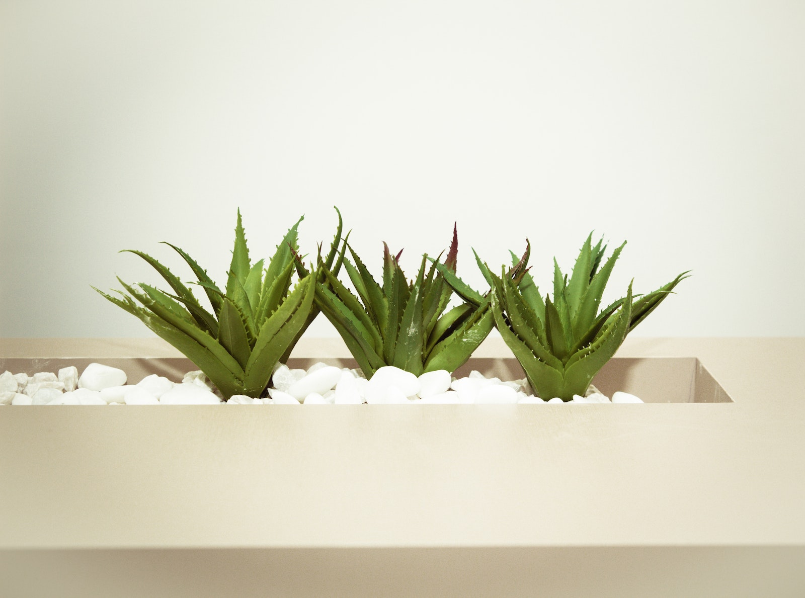 Aquaponics