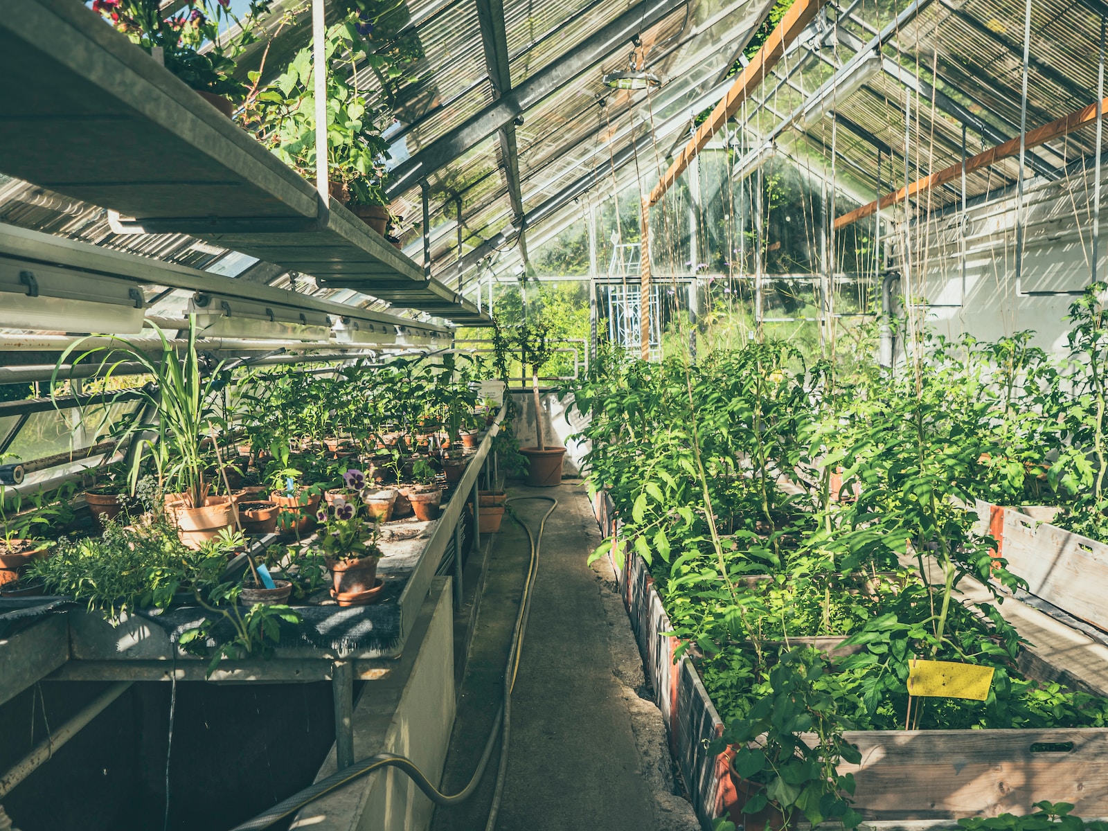 Aquaponics