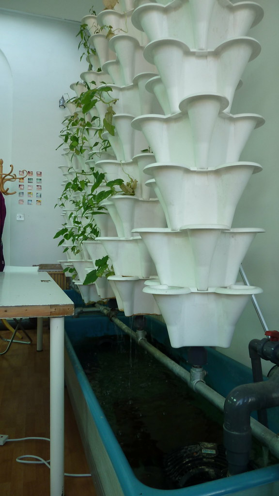 Aquaponics