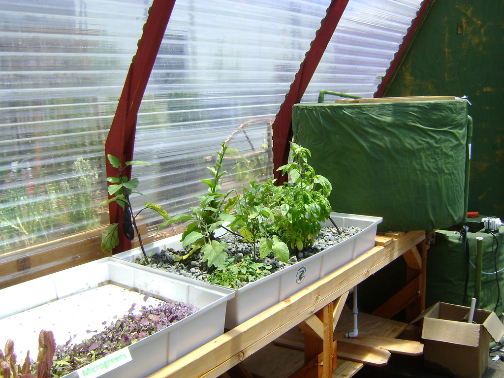 Aquaponics