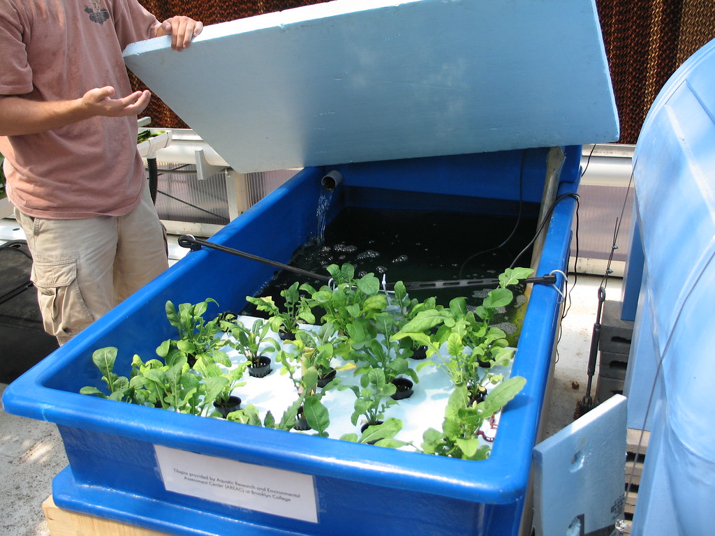 Aquaponics