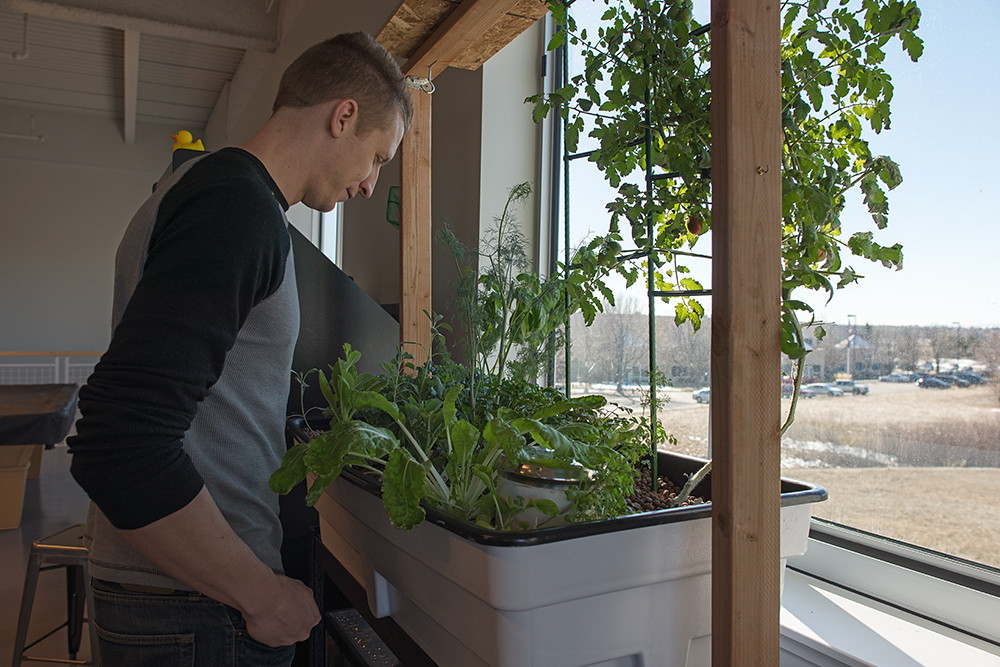 Aquaponics