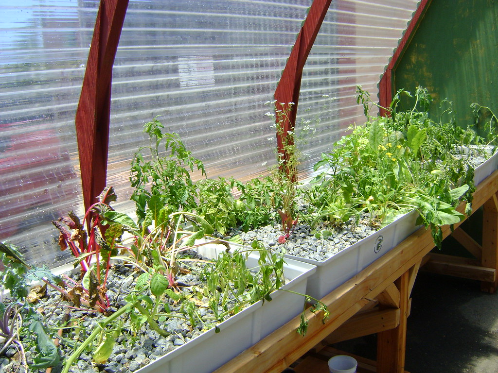 Aquaponics