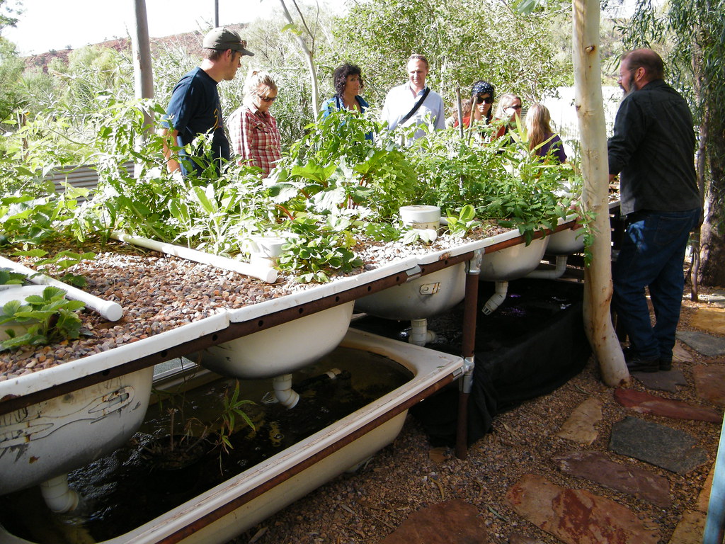 Aquaponics