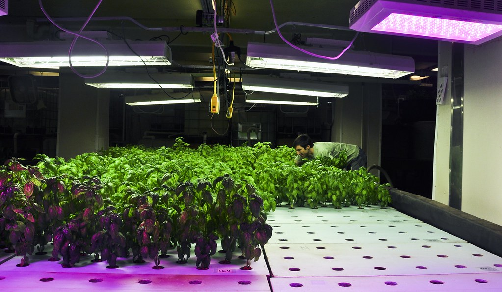Aquaponics