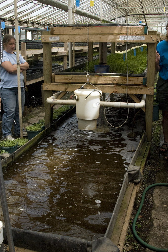 Aquaponics