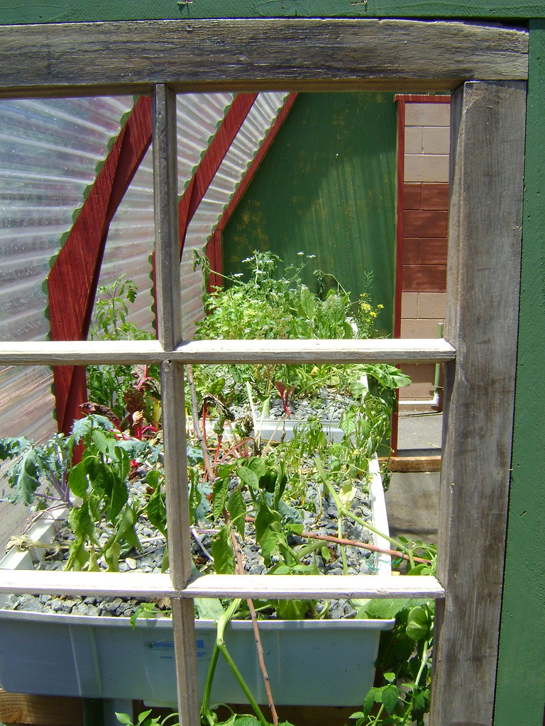 Aquaponics