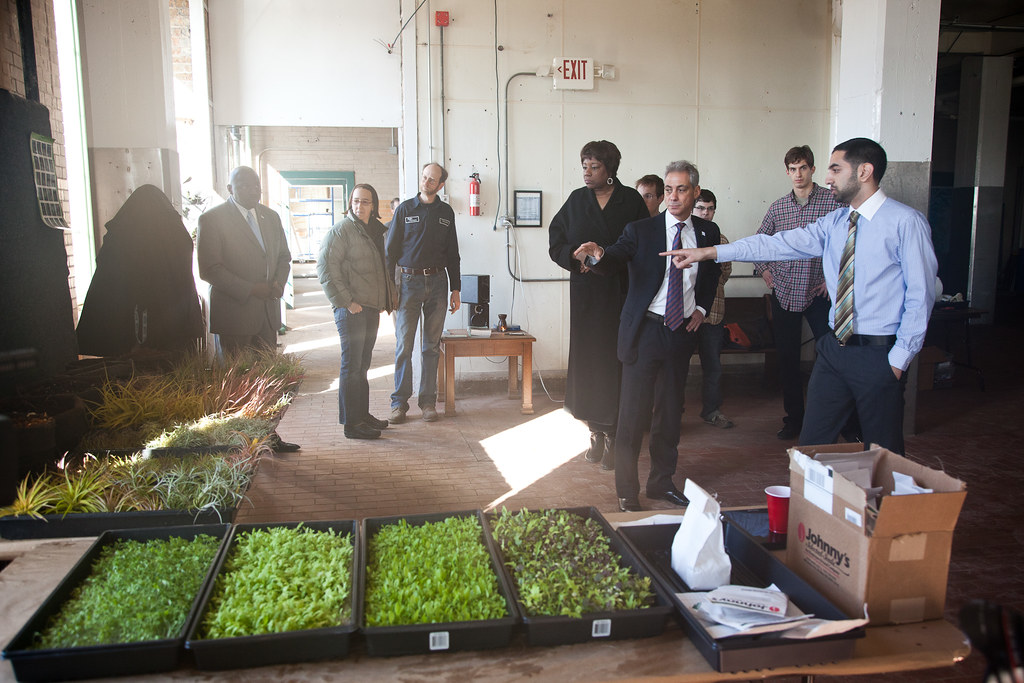 Aquaponics