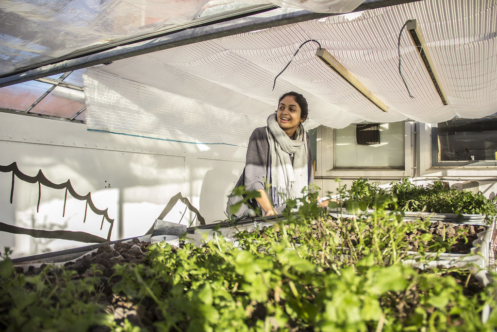 Aquaponics