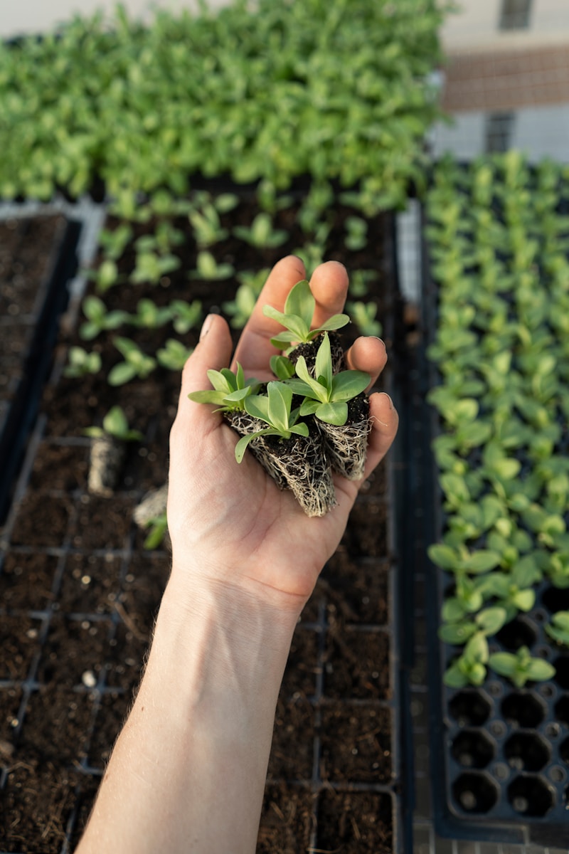 Aquaponics