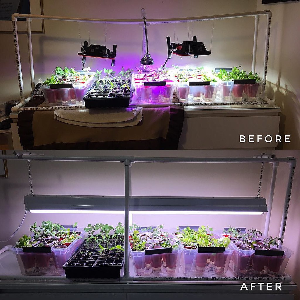 LED Grow