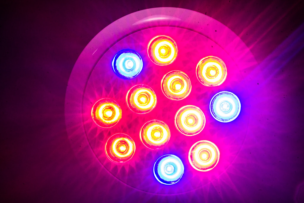 LED Grow